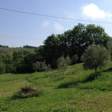 Hillside Country Retreat * San Venanzo