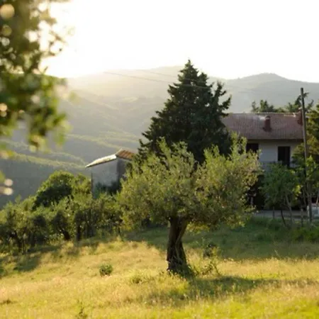 度假居 Hillside Country Retreat *